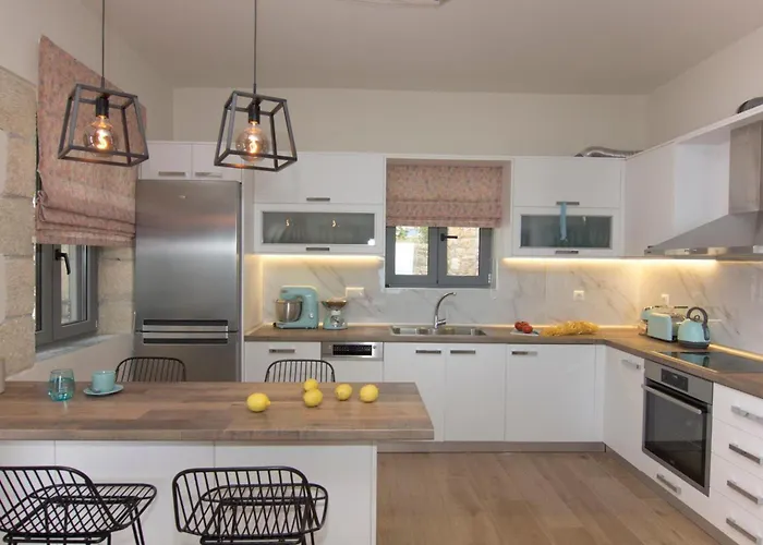 Aspasia By Elrin Mani Willa